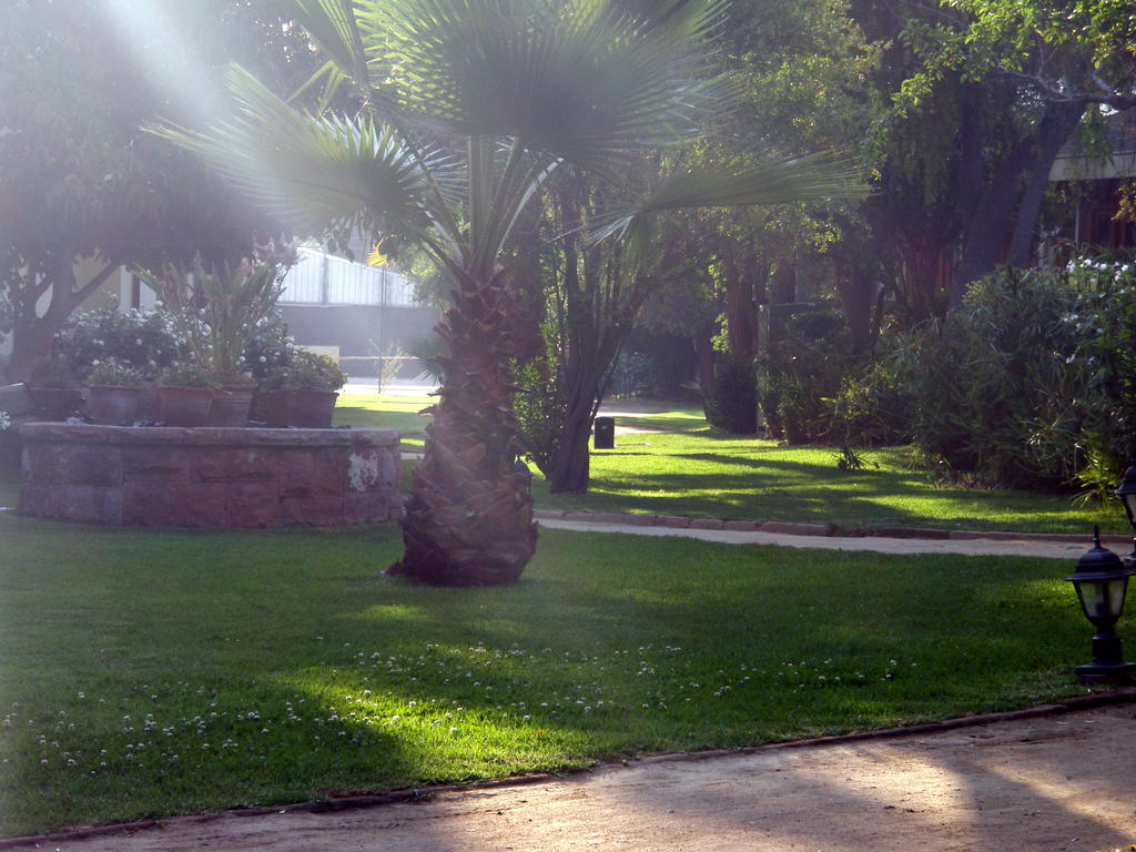 El Copihue Olmue Hotel Bagian luar foto