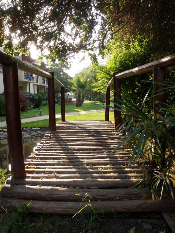 El Copihue Olmue Hotel Bagian luar foto